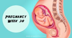 38 Weeks Pregnant