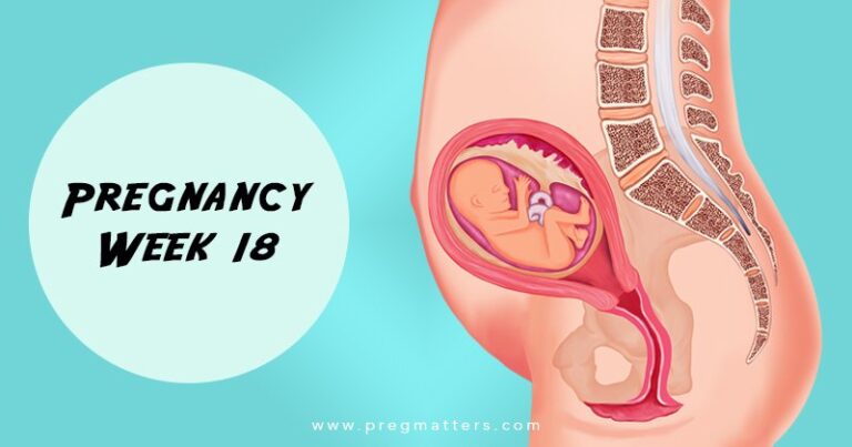 18 Weeks Pregnant