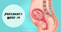 19 Weeks Pregnant