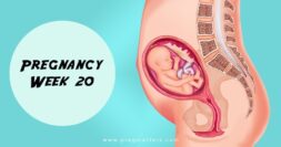 20 Weeks Pregnant