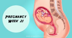 21 Weeks Pregnant