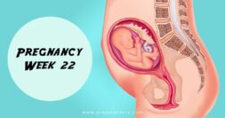 22 Weeks Pregnant