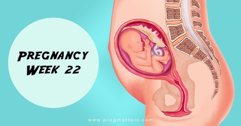 22 Weeks Pregnant