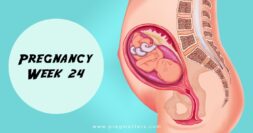 24 Weeks Pregnant