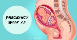 25 Weeks Pregnant