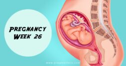 26 Weeks Pregnant