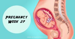 27 Weeks Pregnant