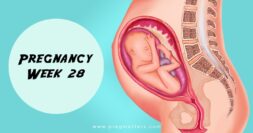 28 Weeks Pregnant