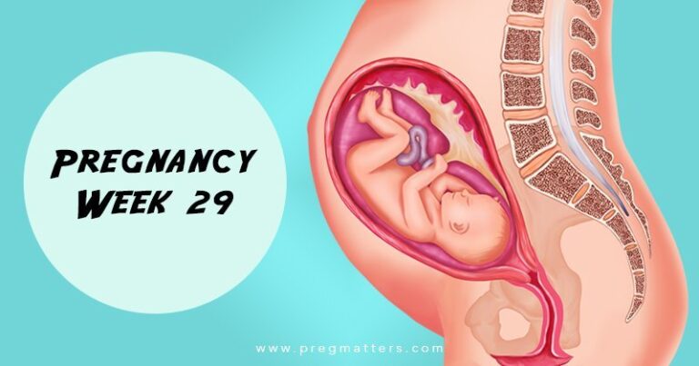 29 Weeks Pregnant