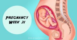 31 Weeks Pregnant