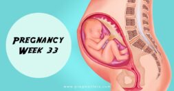 33 Weeks Pregnant