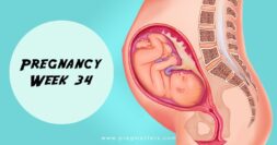 34 Weeks Pregnant