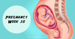 35 Weeks Pregnant