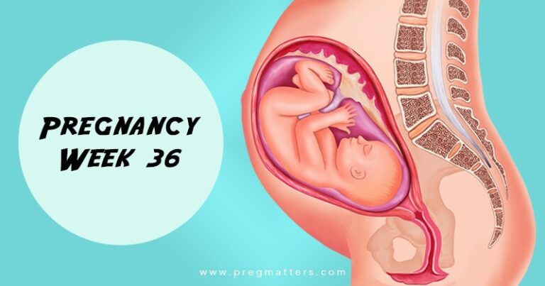 36 Weeks Pregnant