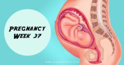 37 Weeks Pregnant