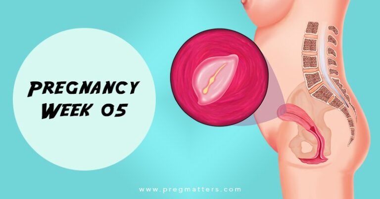 5 Weeks Pregnant