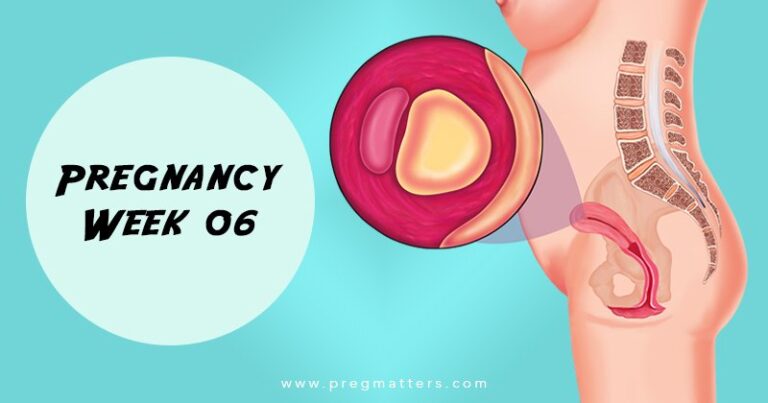 6 Weeks Pregnant