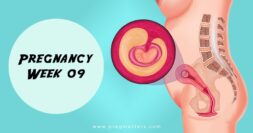 9 Weeks Pregnant