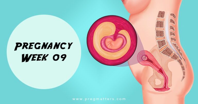 9 Weeks Pregnant