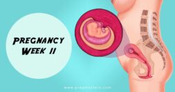 11 Weeks Pregnant