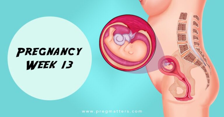 13 Weeks Pregnant