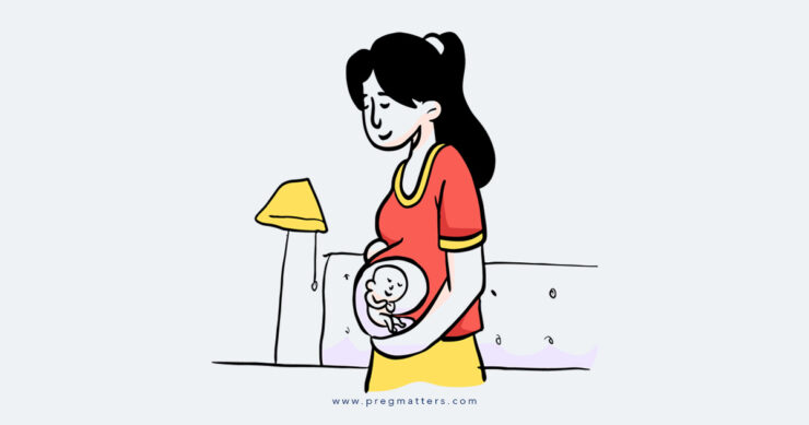 Baby In Womb